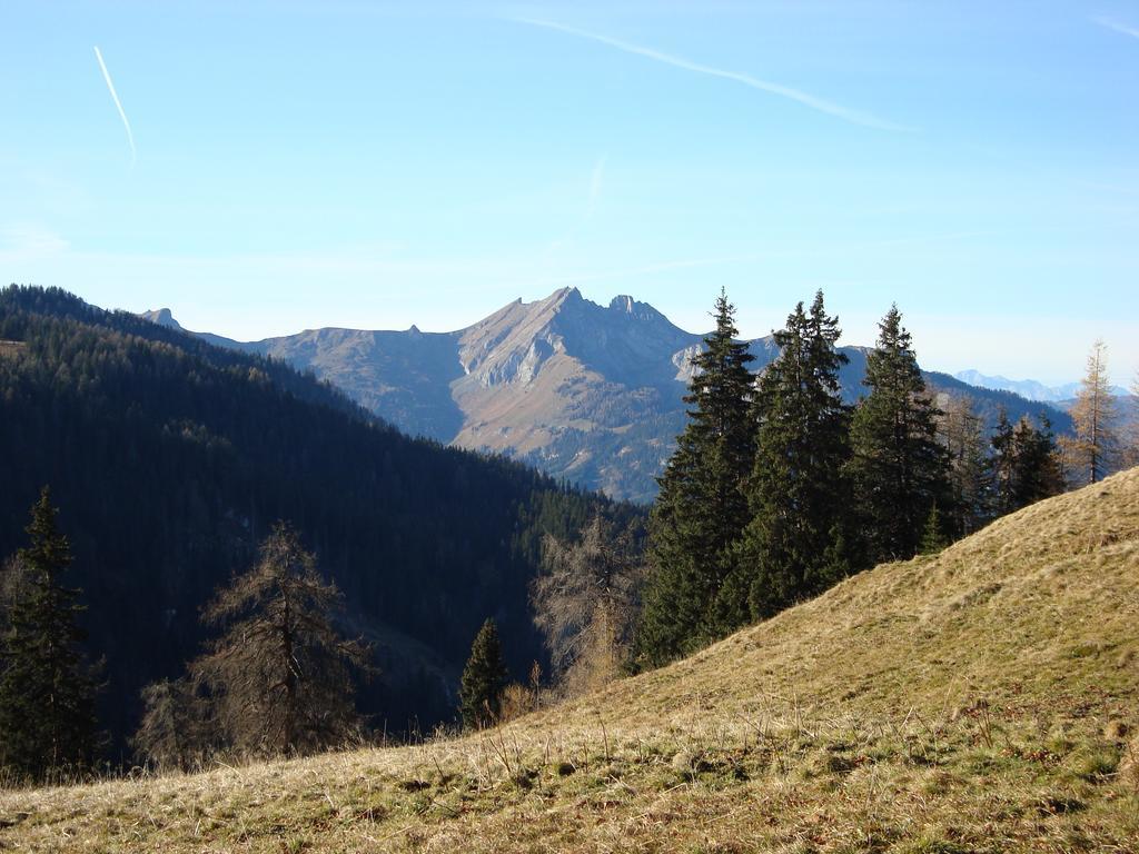 Appartementhaus Schuetzenhof Schied Grossarl Zewnętrze zdjęcie