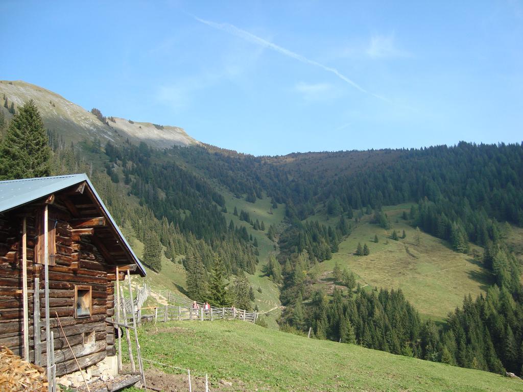 Appartementhaus Schuetzenhof Schied Grossarl Zewnętrze zdjęcie
